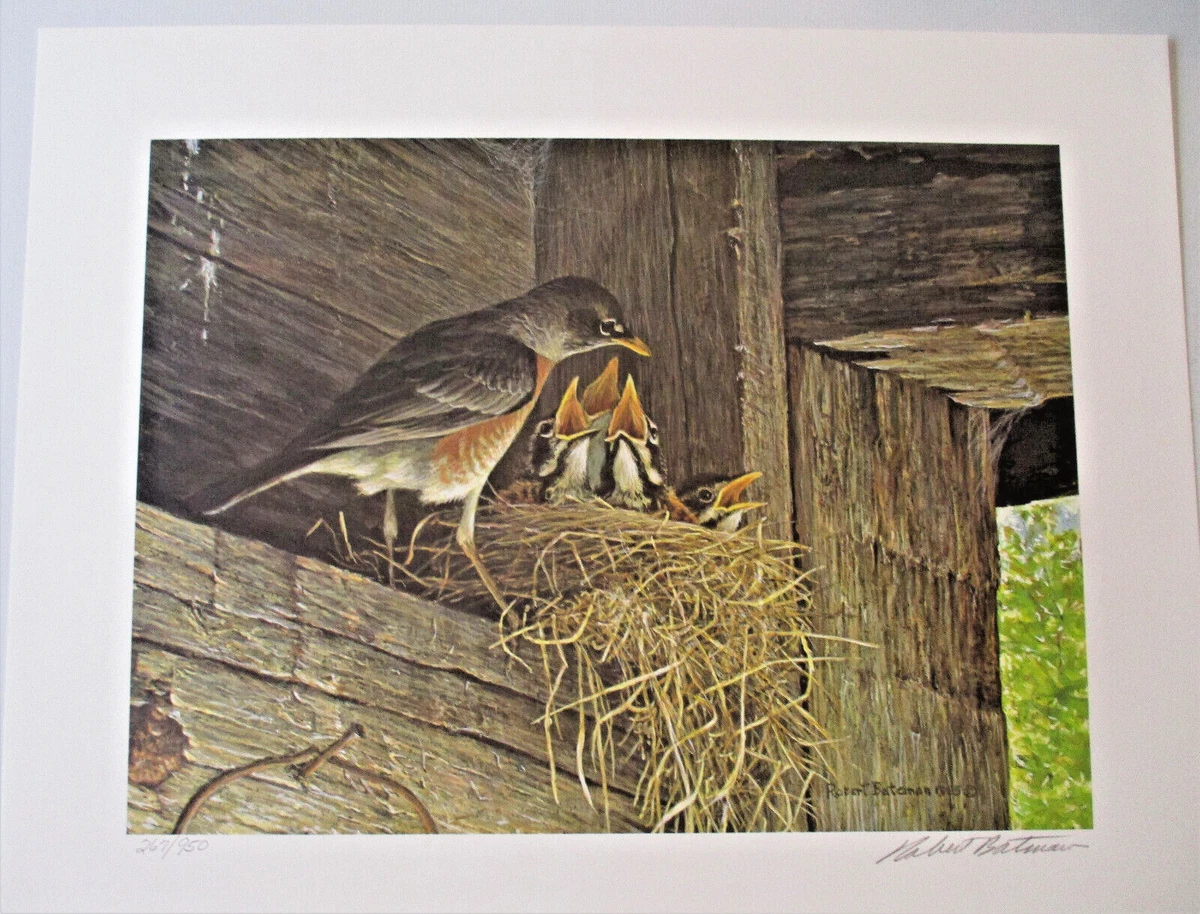 ロバートベイトマン画集【BIRDS】 洋書・野鳥画 Birds: Bateman, Robert: 9780375421822: Amazon.com: Books