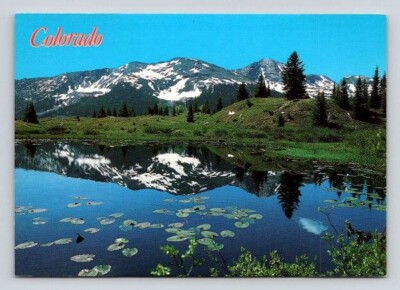 Colorado Little Molas Lake Postcard
