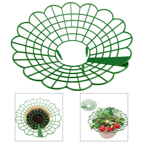 Strawberry Plant Supports Prevent Fruit Damage Suitable for Different