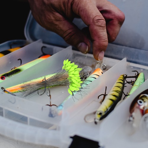 Flotadores de pesca con luz verde LED para pesca bobbers flotadores de pesca - Imagen 4 de 12