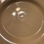 Pier 1 Tuscan Gold Dinner plates Set of 3 Stoneware wide-Rimmed — photo 5