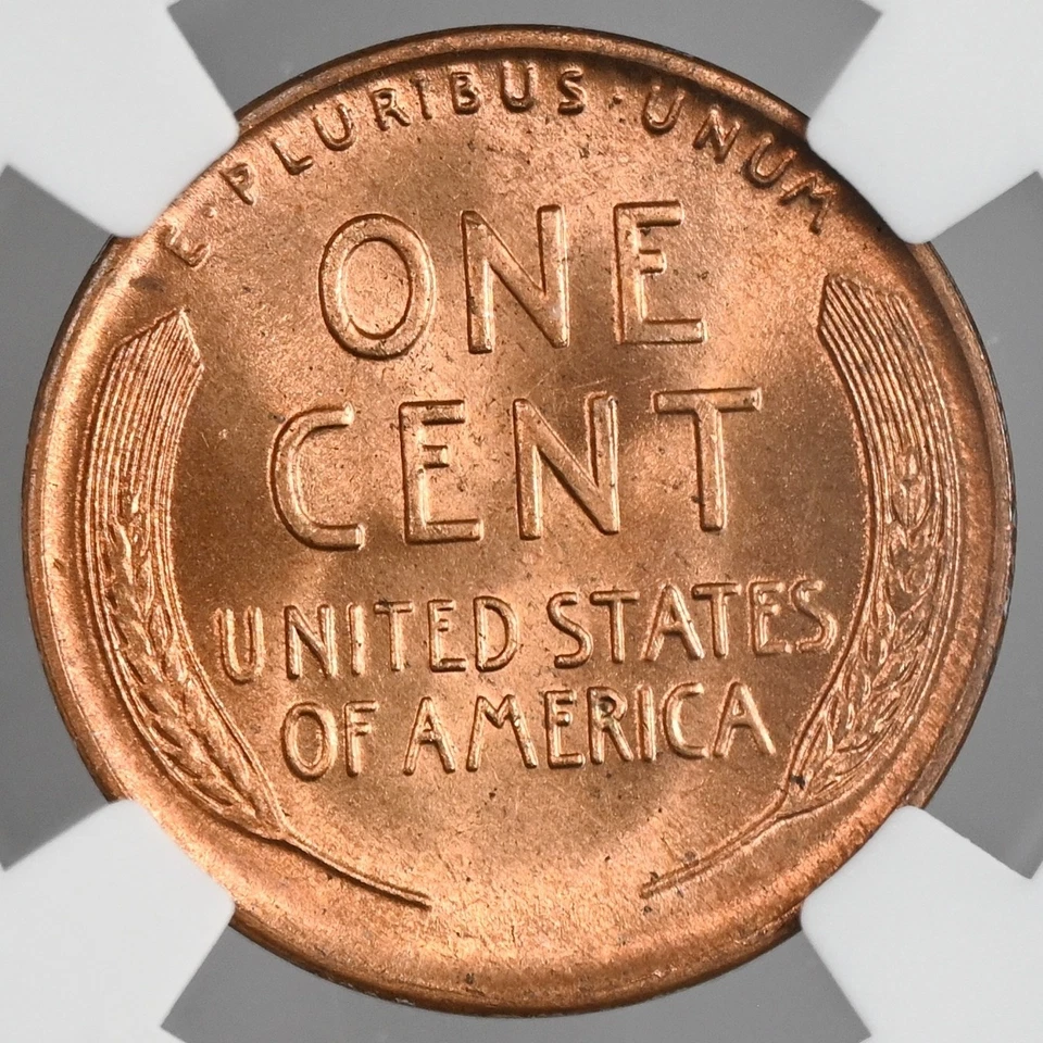 1941-D  1C LINCOLN WHEAT CENT "DENVER MINT" NGC MS66 RD (RED) # 8340750-367 - Image 3 of 4