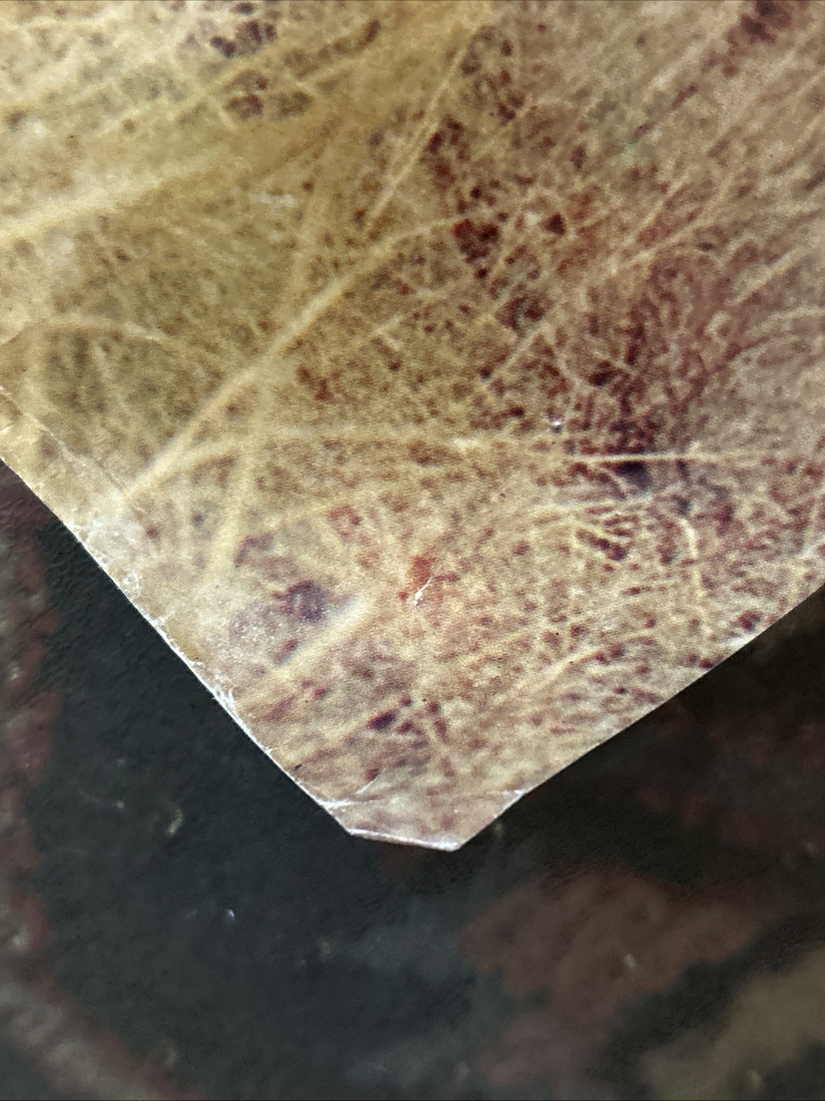 Picture 13 of 18