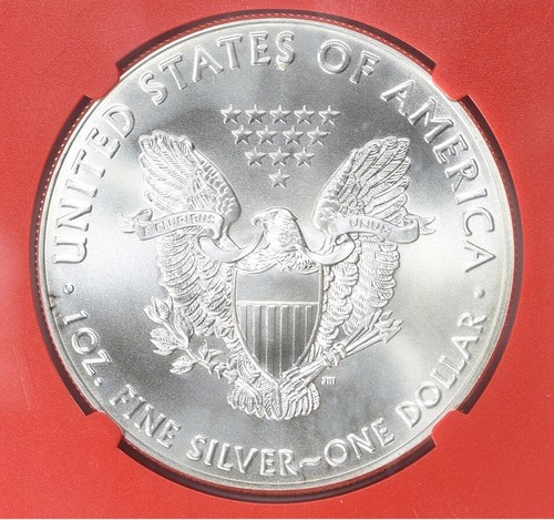 2016 Obverse Retained Struck Thru Hair or Thread NGC MS69 Silver Eagle Error - Picture 7 of 7
