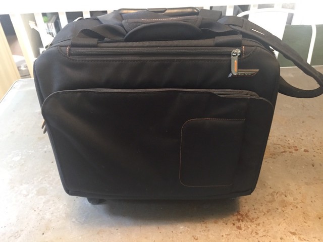 briggs and riley verb