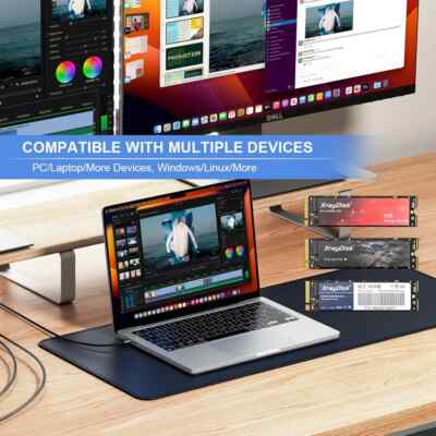 XrayDisk M.2 SSD PCIe NVME 128GB 256GB 512GB 1TB Gen3*4 Solid