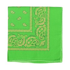 22 Inch Cotton Paisley Bandana Apple Green Gold