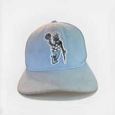 Blue Pro Standard Boston Celtics Hat