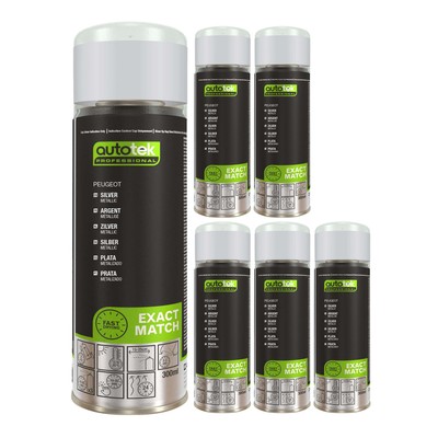 6x Autotek Peugeot Silber schnelltrocknend hohe Deckkraft Aerosol Sprühlack 300 ml