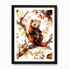 Red Panda 1 Art Print Framed Wall Art Poster Canvas Print Picture