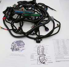 97 - 06 Ls1 Ls6 4.8 5.3 6.0 Lq4 Lq9 Dbw Engine 4l80e Standalone Wiring Harness