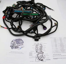 97 - 06 LS1 LS6 4.8 5.3 6.0 LQ4 LQ9 DBW ENGINE 4L80E STANDALONE WIRING HARNESS
