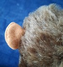 Bild 8 von 13