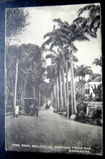 BARBADOS PINE ROAD BELLOVILLE  SHOWING TRAM CAR