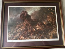 Mick Cawston Irish Setter Limited Edition Print 714/850 Signed Framed