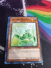 Naturia Mantis - HAC1-EN113 - Common - 1st Edition - Near Mint