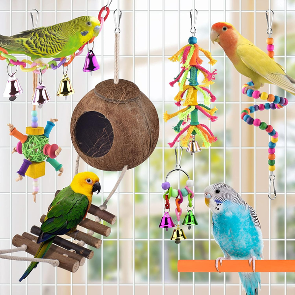 Vogelspielzeug, Erkoon Nymphensittich Futter Wellensittich Spielzeug Bird Feeder-image