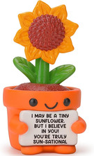 Small Funny Positive Sunflower Gifts for Women, Mothers Day for Friends Sister D