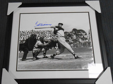 Ted Williams Signed 16 x 20 Photograph - Green Diamond Authenticated
