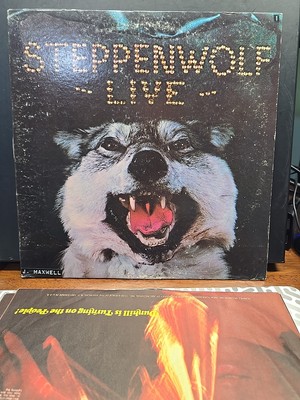 STEPPENWOLF LIVE ~ 1970 2xLP Live Vinyl LP Record Album dsd-50075 ~ VG