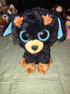 beanie boos medio