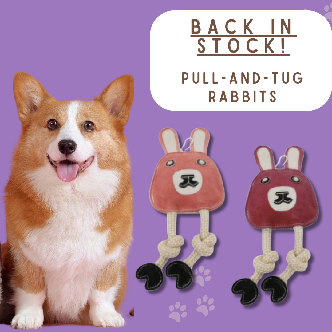 Water Buffalo Leather & Cotton Rabbit Pull & Tug Dog Toy MULTIPACK COMBO