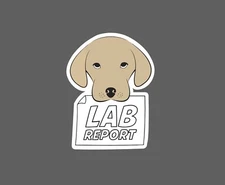 Lab Report Sticker Dog Assignment Waterproof School College Gift NEW