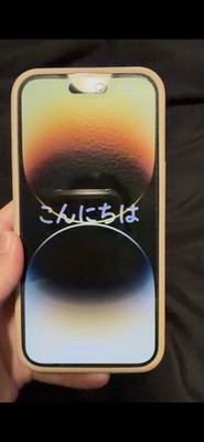 Apple iPhone 14 Pro Max 128GB Unlocked
