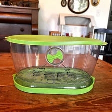 Prepworks by Progressive Fresh Fruits &  Vegetables Keeper- Green