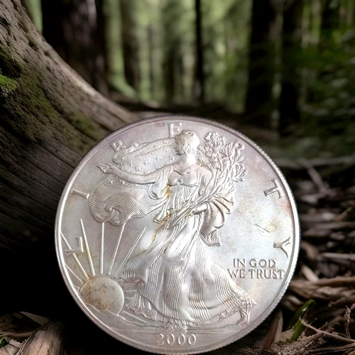 2000  SILVER EAGLE Coin- ITCHY MEETS SCRATCHY... BUT RIGHT FOR YOU?