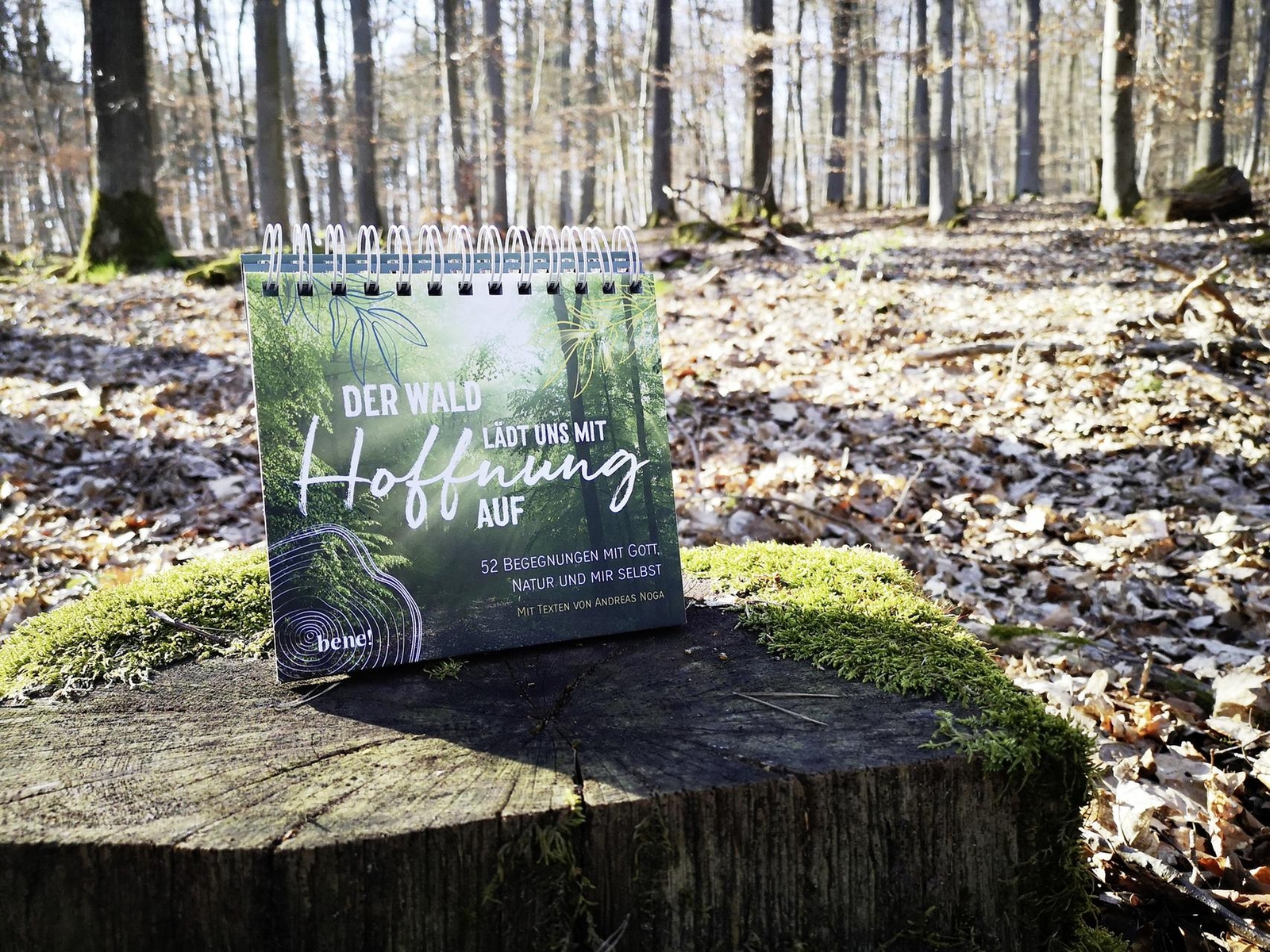 Thumbnail - Der Wald Lädt Uns Mit Hoffnung Auf - Aufstellbuch Andreas Noga