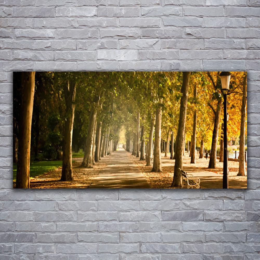 Impression grand format l'avenue du parc 120x60 pour une ambiance nature
