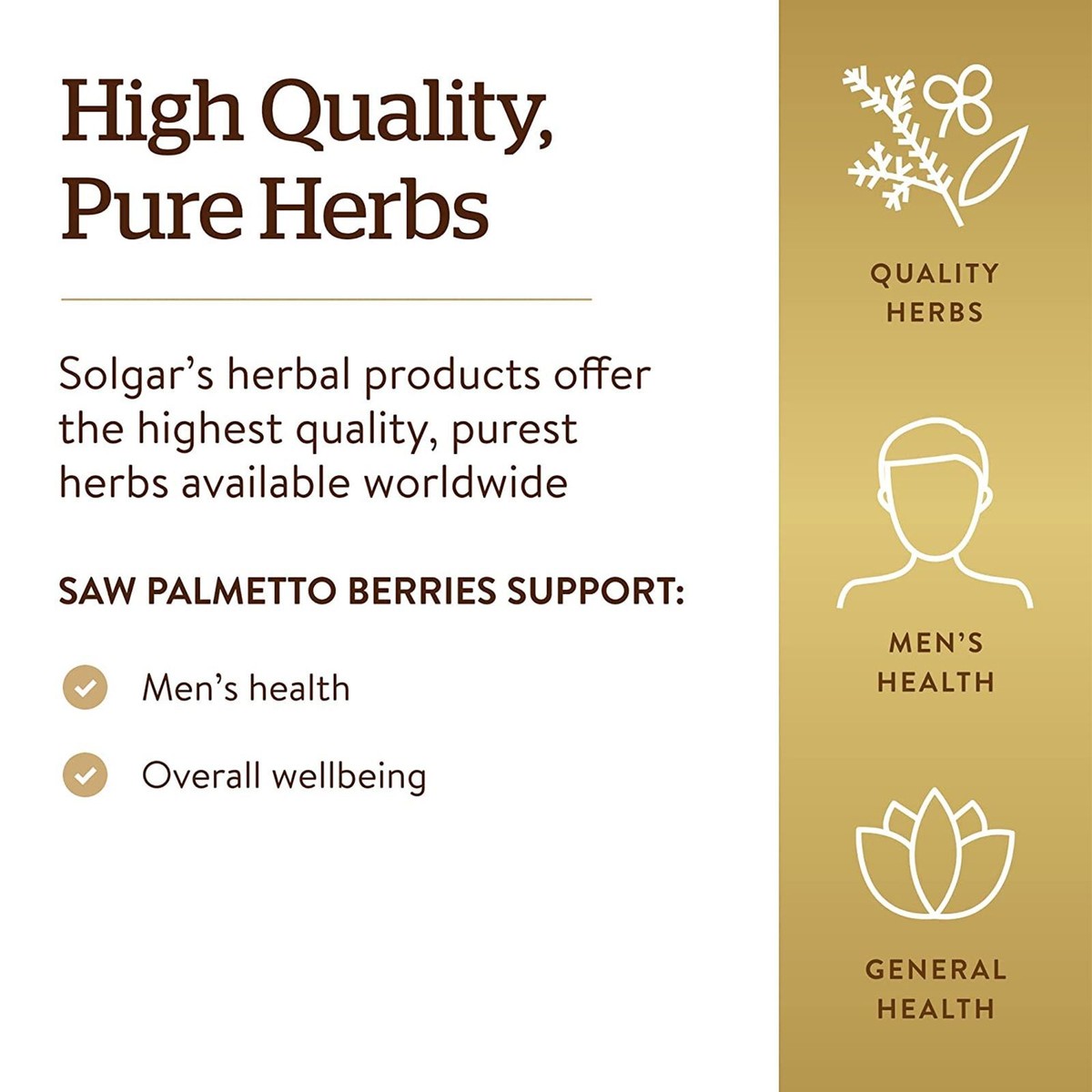 Motivasyon Dik Diğer gruplarla solgar saw palmetto berries 100 caps amazon Kısa