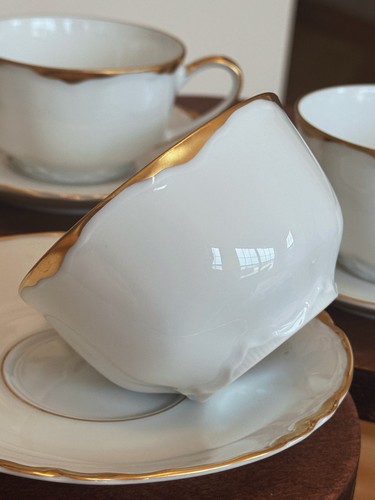 Hutschenreuther “The Blenheim” Teacup & Saucer Set – Fine Bone China, Heavy Gold - Picture 5 of 10