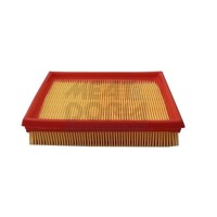 Meat & Doria Luftfilter FüR Peugeot 206 CC 2D 1.6 16V 2.0 S16 2A/C 1.4I 1.1I
