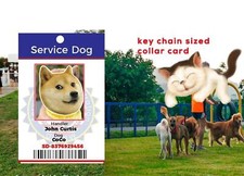 SERVICE ESA PTSD THERAPY DOG KEY OR COLLAR TAG FOR ADA FHACT SERVICE ANIMALS p