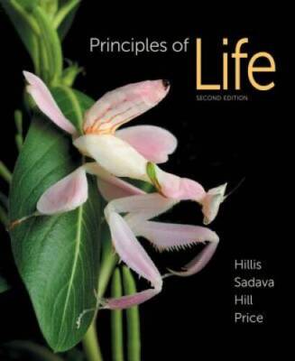 Principles of Life - Hardcover By Hillis, David M. - GOOD