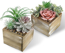 2 Pack Fake Plants Succulents Plants Artificial Cactus Plants in Wood Pots with