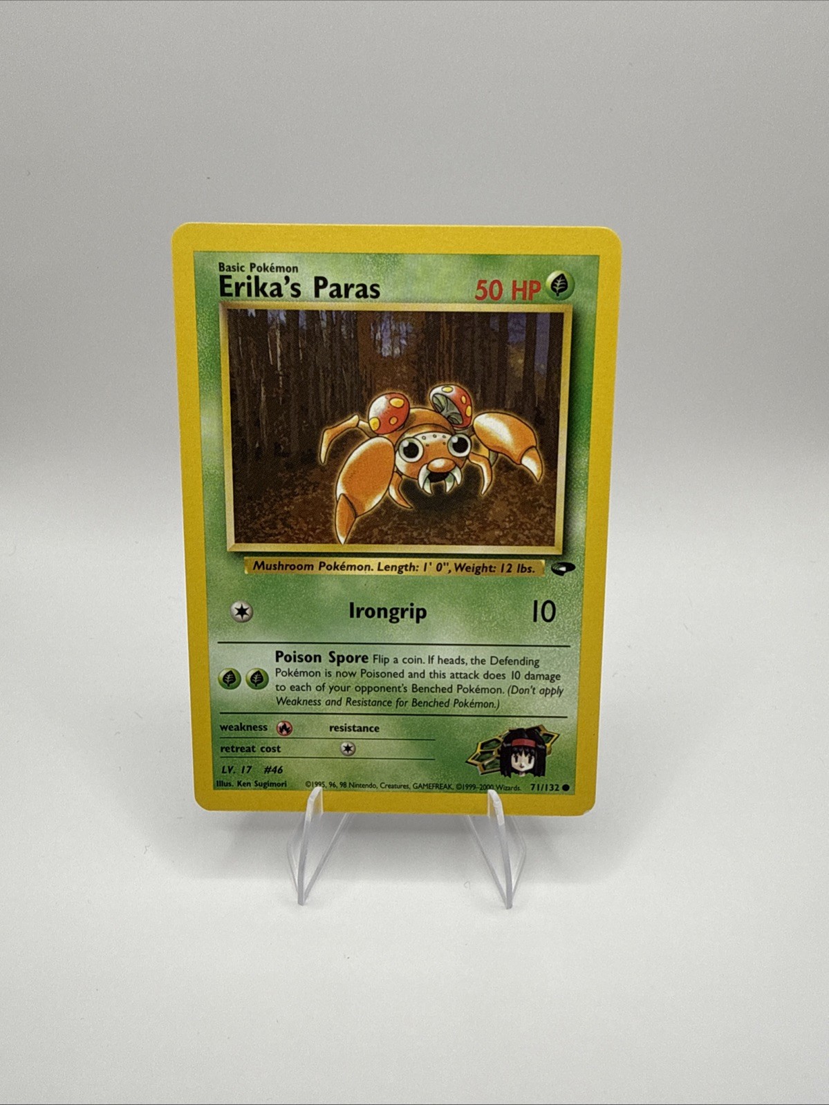 Erika's Paras 71/132 Gym Challenge Regular