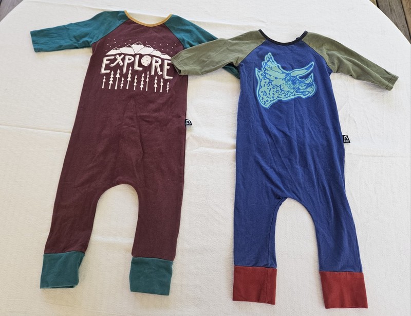 Lot Of 2 RAGS To Raches Long Sleeve Rompers 18-24 Months Stegosaurus Explore