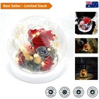 Charming LED-Illuminated Eternal Roses - Preserved Flower Gift for Loved Ones
