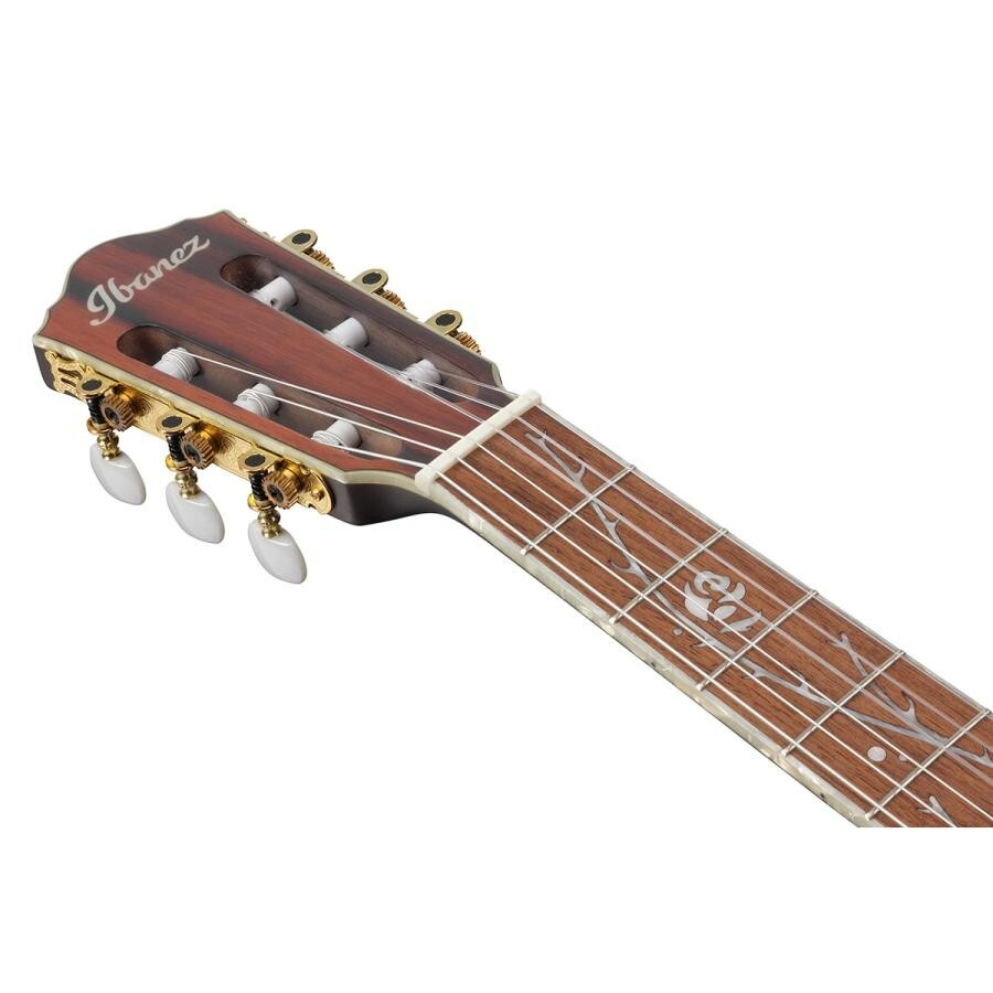 Ibanez TOD10N-TKF Tim Henson Signature Model Nylon Electric Ibanez TOD10N-TKF Tim Henson Signature Model Nylon Electric