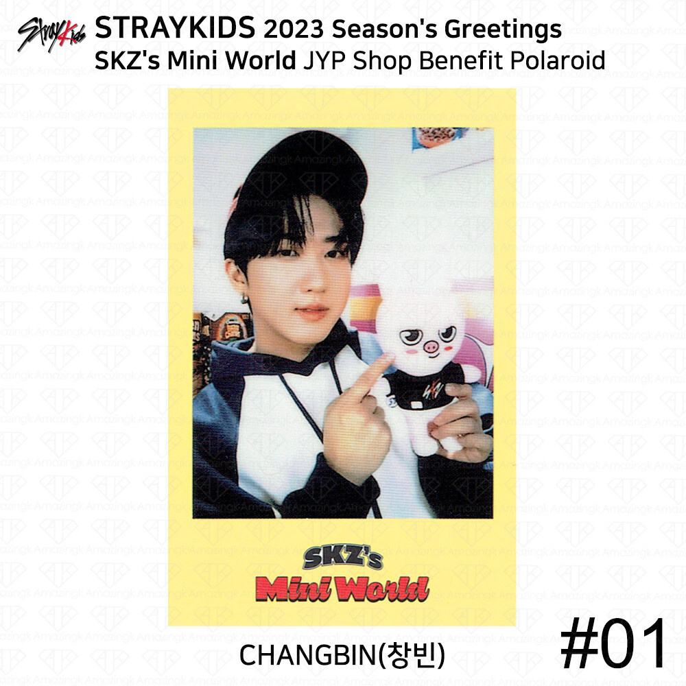 Stray Kids 2023 Season's Greetings Selfie Photocard 4cut