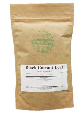 Schwarze Johannisbeere Blatt  Ribes Nigrum L  Black Currant Leaf  Schwarze R...