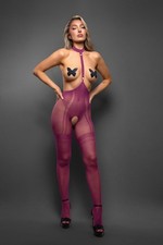 Fantasy Lingerie Bad Habit Magenta Stocking With Butterfly Pasties One Size 2-12