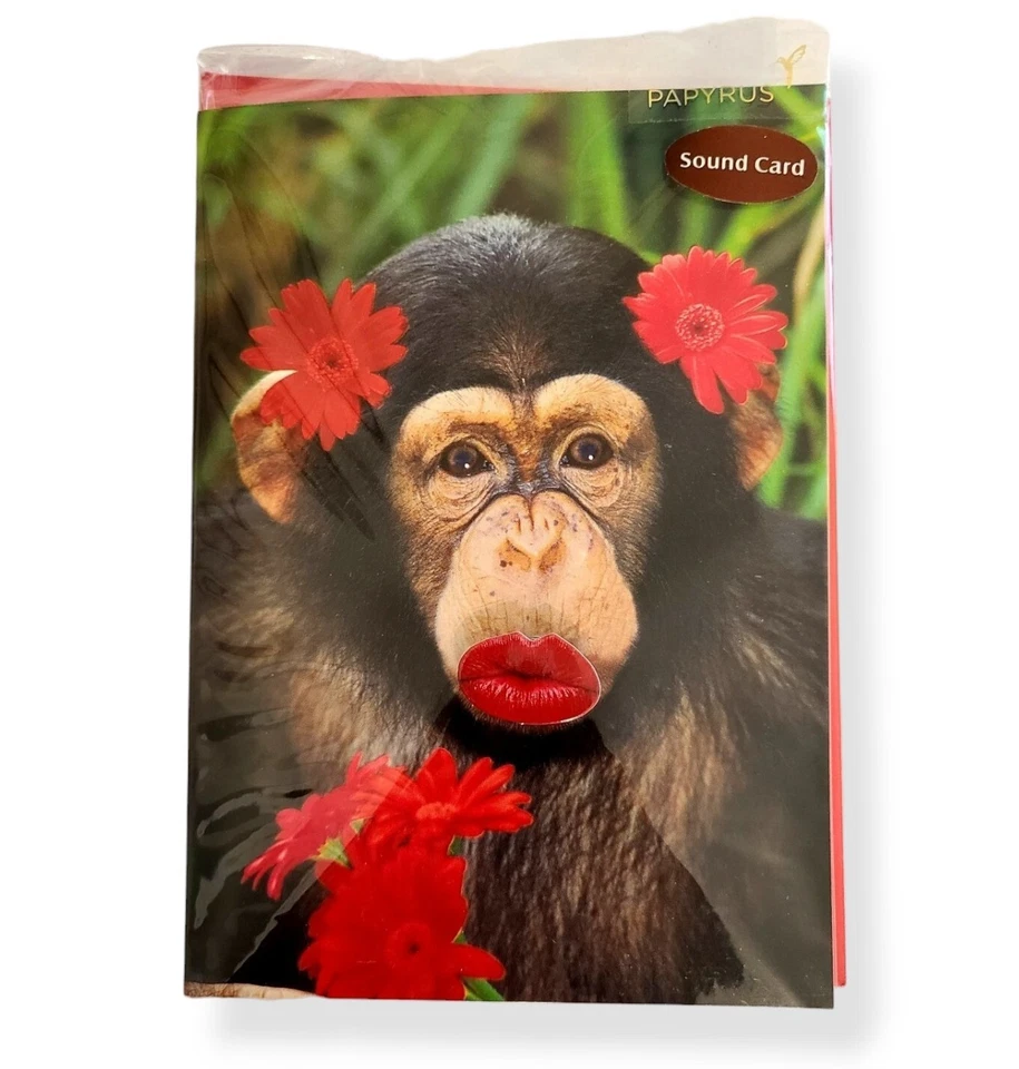 PAPYRUS Lot of 10 Valentine's Day Cards - New In Package - Embellished & Sound - Image 2 of 4