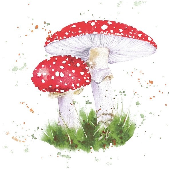 4 x Paper Napkins/33cm/3Ply/Decoupage/Fungi/Fly Agaric/Red Cap/Toadstools