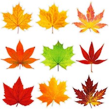 198 Pcs Thanksgiving Fall Bulletin Board Decorations Autumn Maple Leaf Cutout