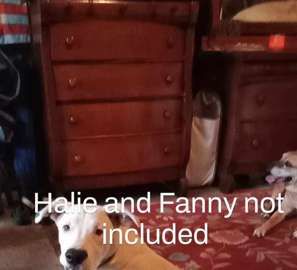 20 世纪早期抽屉柜-配对 — 第 4/4 张图片