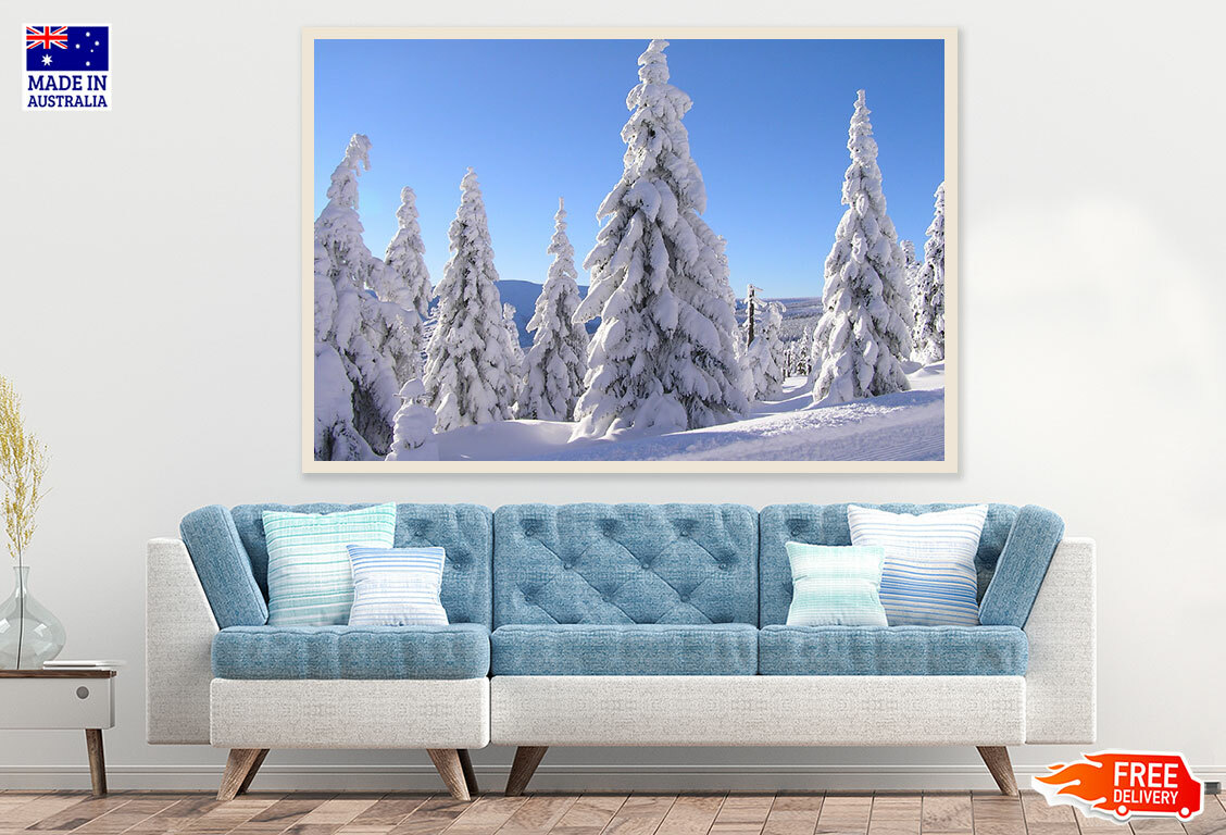 (Laminated) Snow Covered Forest Photograph 91x61cm